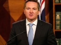 Shadow treasurer Chris Bowen sides with big business on effects test